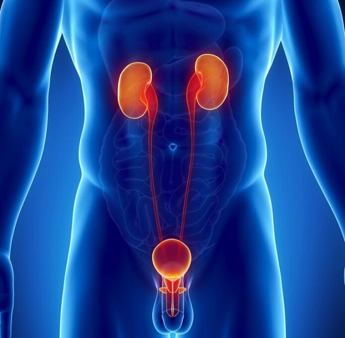 哪些慢性疾病会影响男性性能力